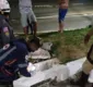 
                  Garoto de oito anos fica preso em bueiro na Avenida Vasco da Gama