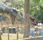 
                  Número de visitantes da Lagoa dos Dinossauros será limitado a 200