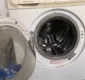 
                  Cão descobre visitante indesejado dentro de máquina de lavar