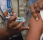 
                  Índia autoriza exportação da vacina contra covid-19 para o Brasil