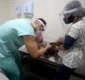 
                  Pirajá recebe serviço itinerante de castração de cães e gatos