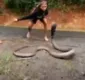 
                  Jovem enfrenta cobra-rei para tirar animal da rodovia
