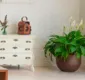 
                  Saiba como unir arquitetura e ecologia; confira dicas
