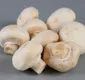 
                  Confira cinco motivos para adicionar cogumelos na sua dieta