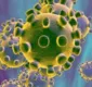 
                  Estudos mostram eficácia da CoronaVac contra variantes do vírus