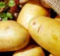 
                  'Santo remédio' para gastriste: Conheça receita de suco de batata