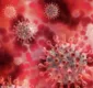 
                  Virologista alerta para risco iminente de novos supervírus