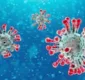 
                  Fiocruz alerta para novas variantes do vírus da covid-19