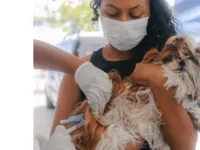 Campanha de vacinação antirrábica é prorrogada até próxima quinta
