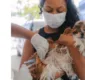 
                  Campanha de vacinação antirrábica é prorrogada até próxima quinta