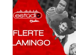 Da intuição a espontaneidade: conheça a originalidade de Flerte F