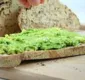 
                  Abacate e pão combinam? Confira receita de torrada com creme