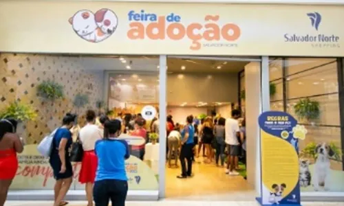 
				
					Shopping soteropolitano recebe Feira de Adoção de cães e gatos neste sábado (30)
				
				