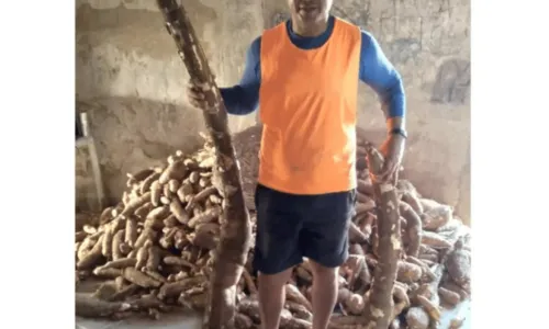 
				
					Agricultor colhe mandioca de 2 metros e quase 30 kg na Bahia
				
				