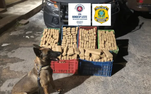 
				
					Polícia apreende mais de 150kg de maconha em fundo falso de caminhão￼
				
				