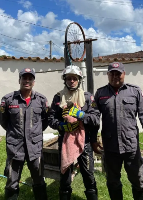 
				
					Filhote de gato é resgatado após cair em poço de 7 metros de profundidade na Bahia
				
				