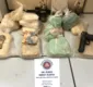 
                  Polícia encontra dez quilos de cocaína enterrados em matagal