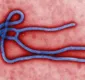
                  Novo surto de ebola atinge a República Democrática do Congo