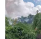 
                  Mais de 15 mil pés de maconha são incinerados em Abaré
