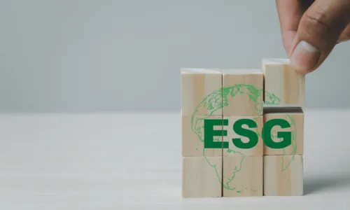 
				
					Você já ouviu falar sobre 'Environmental, Social and Governance'? Veja 5 dicas para aplicar o 'ESG' em pequenas e médias empresas
				
				