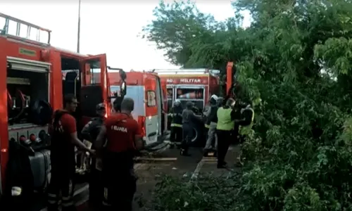 
				
					Motorista perde o controle e caminhão cai em ribanceira na Avenida Paralela, em Salvador
				
				