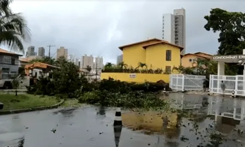 
				
					Por conta das fortes chuvas, muro desaba e destrói imóveis em Salvador
				
				