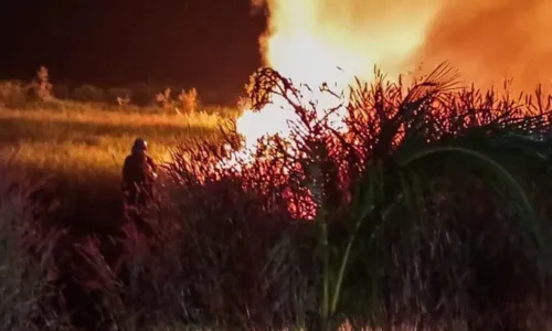 
				
					Incêndio atinge área de vegetação em fazenda no oeste da Bahia
				
				