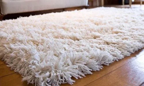 
				
					Saiba como higienizar seu tapete felpudo sem danificar a peça
				
				