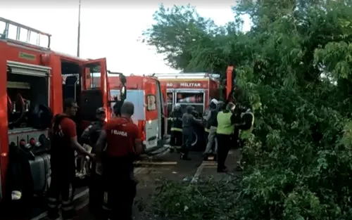 
				
					Motorista perde o controle e caminhão cai em ribanceira na Avenida Paralela, em Salvador
				
				