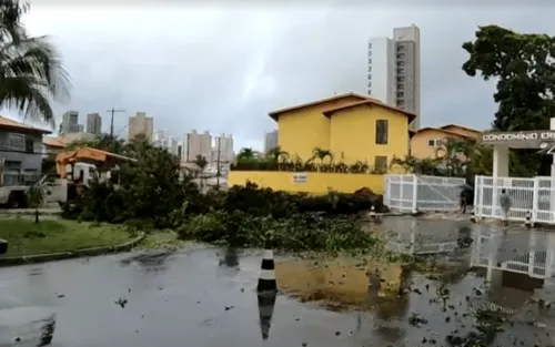 
				
					Por conta das fortes chuvas, muro desaba e destrói imóveis em Salvador
				
				