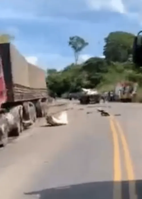 
				
					Duas pessoas ficam feridas em acidente entre caminhão e carreta na BR-415, sul da Bahia
				
				
