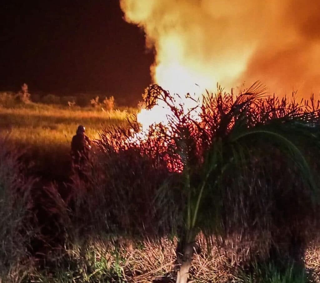 Incêndio Atinge área De Vegetação Em Fazenda No Oeste Da Bahia 9388