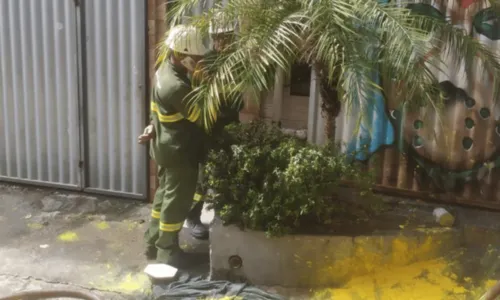 
				
					Homem armado atea fogo e realiza disparos na própria casa em Lauro de Freitas
				
				