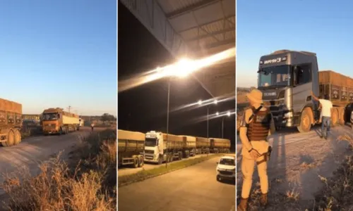 
				
					Operação apreende 13 carretas com carga de soja milionária por falta de documentação na BA
				
				
