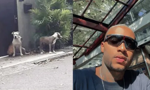 
				
					Pitbulls do rapper Orochi atacam cachorros de Cauã Reymond em condomínio de luxo no Rio de Janeiro
				
				