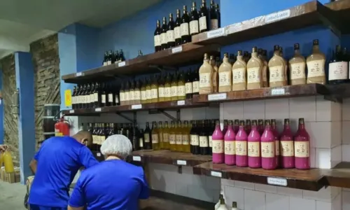 
				
					Pontos de fabricação de licor em Cachoeira, no Recôncavo da Bahia, são interditados pela Polícia Federal
				
				