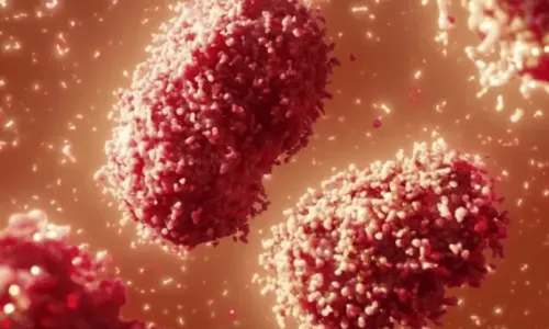 
				
					Sesab confirma mais um caso de varíola dos macacos e Bahia chega a 40 infectados
				
				