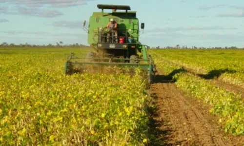 
				
					Agronegócio baiano representa 24,3% da economia do estado, superando o mesmo período do ano passado
				
				