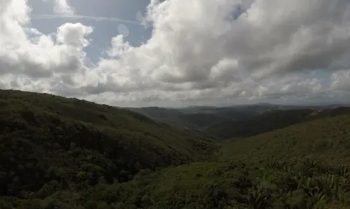 
				
					MP-BA aciona Inema para suspender concessão do Parque Sete Passagens à iniciativa privada
				
				