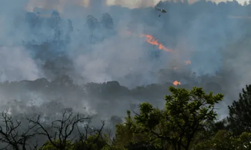 
				
					Decreto suspende queimadas em todo território nacional
				
				