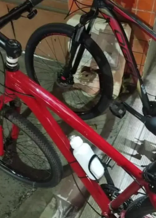 
				
					Bicicleta de ciclista que foi morto em assalto no Dique é recuperada
				
				