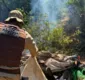 
                  Operação destrói plantação com 4 mil pés de maconha que era cultivada às margens do Rio São Francisco