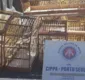 
                  Polícia Militar resgata 10 aves silvestres de cativeiro ilegal em Santa Cruz Cabrália