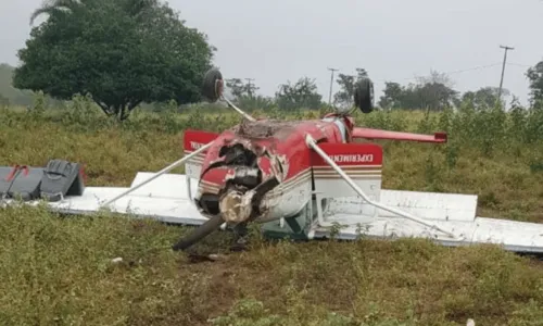 
				
					Avião cai e assusta moradores da zona rural da cidade de Ruy Barbosa, no interior da Bahia
				
				