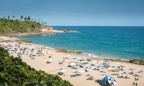 
				
					Salvador tem 36 praias impróprias para banho neste final de semana; veja lista completa
				
				