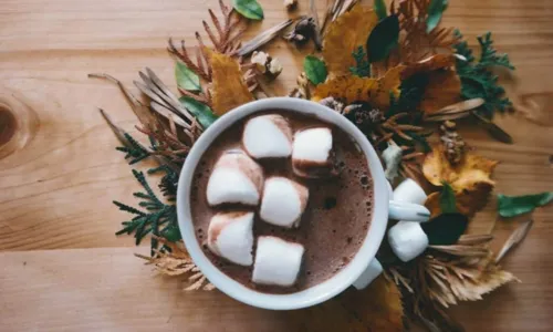 
				
					Aprenda a fazer receita de chocolate quente sem lactose
				
				