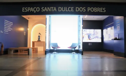
				
					Aeroporto de Salvador ganha espaço em homenagem a Santa Dulce dos Pobres com acesso gratuito; veja fotos
				
				