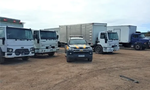 
				
					Mais de 10 caminhões adulterados são apreendidos em operação da PRF na Bahia
				
				