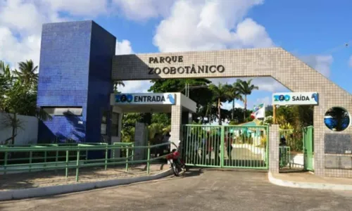 
				
					Governo da Bahia publica edital para concessão do Zoológico de Salvador
				
				