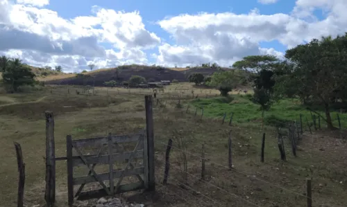 
				
					Com suspeita de incêndio criminoso, família de Marcos Palmeira registra boletim de ocorrência em Itororó
				
				